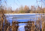 Basen w Kunicach pięknie się prezentuje pod śniegową pierzynką. Zimowa odsłona kultowego kąpieliska