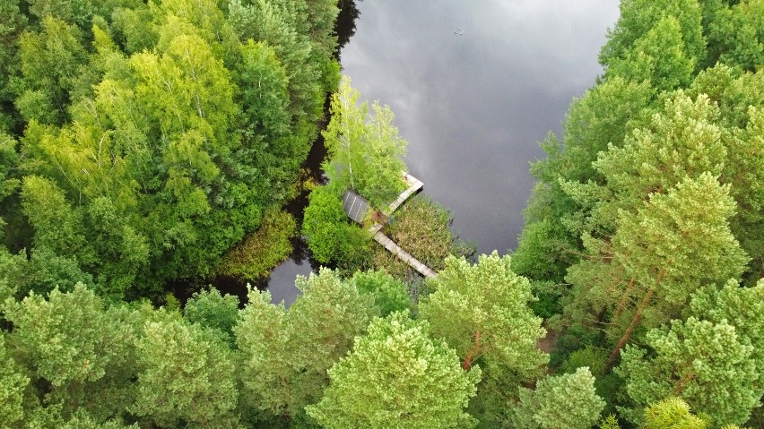 Słynna Chatka Shreka znajduje się na Pojezierzu Palowickim