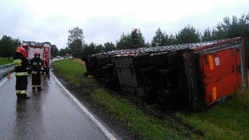 Ciężarówka przewodząca trzodę chlewną wypadła z drogi