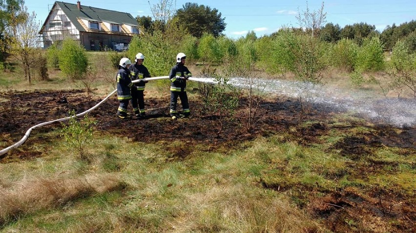 Strażacy z OSP Wdzydze Tucholskie i Wiele gasili pożar suchych traw