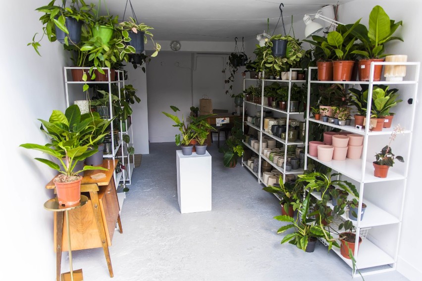 Liście Powiśle. Otworzyła mikro kwiaciarnię w garażu samochodowym. "Z miłości do roślin i ekologii" 