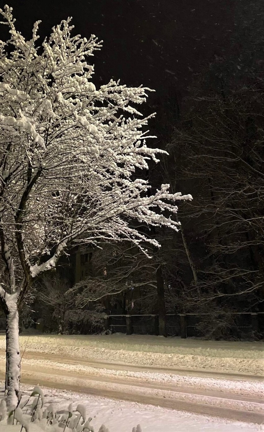 Polska i ukraińska młodzież ze starachowickiej bursy fotografowała zimowe pejzaże. Zobaczcie zdjęcia 