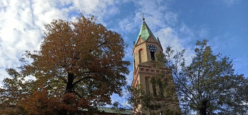 Odpust w parafii pw. św. Jadwigi Śląskiej