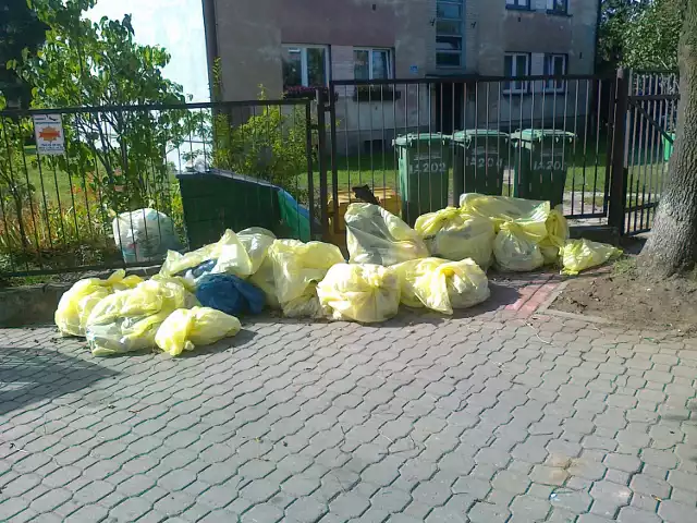 Zalegające śmieci pod bramą szkoły.