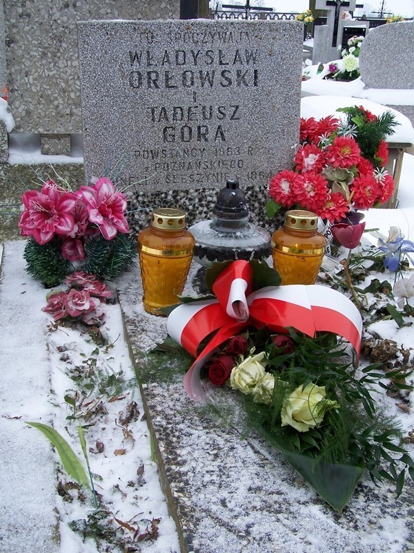 Pamięć o powstańcach. Złożono kwiaty na grobach poległych powstańców w Żychlinie i Śleszynie.