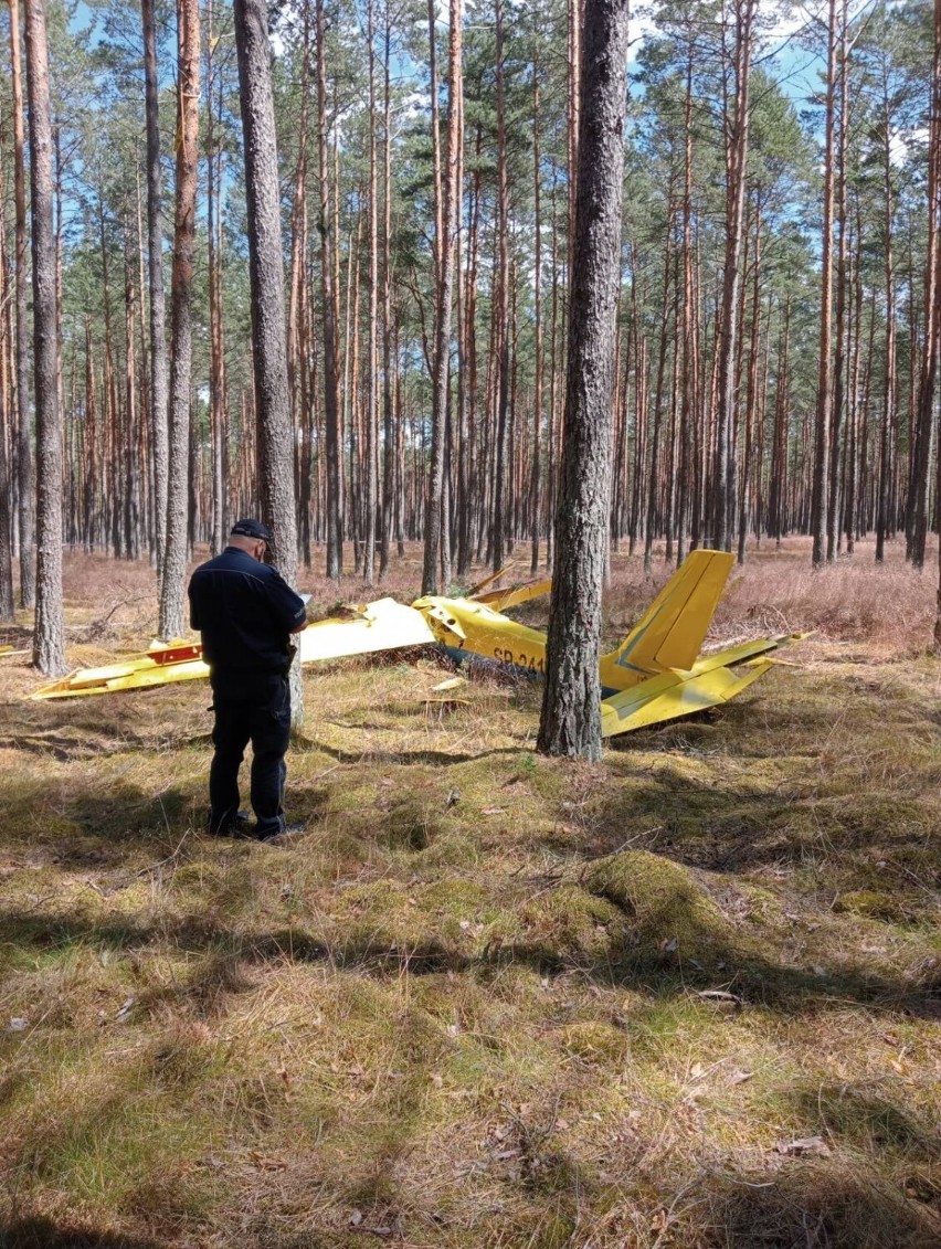 W lesie w Borsku w gminie Karsin spadł szybowiec. Pilot zginął na miejscu 