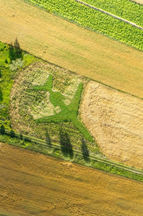 LandArt Festiwal 2012 rok