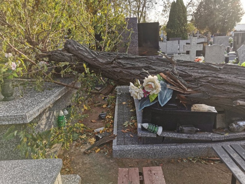 Powalone drzewo na cmentarzu w Brześciu Kujawskim uszkodziło...