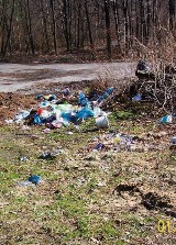 Rybnik: Palowickie lasy pełne śmieci. Szczególnie w okolicy ulicy Wiejskiej i Bukowej