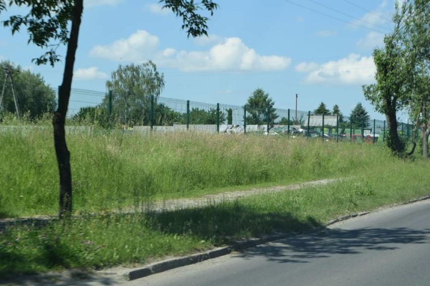 Nie będzie koszenia trawników i pasów drogowych w Żorach...