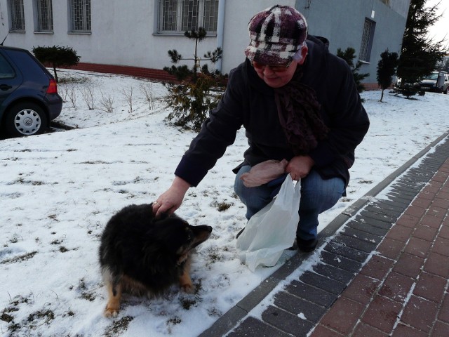 Leokadia Kulka, idąc na spacer z Misią, zabiera dla niej z domu foliowe woreczki na odchody