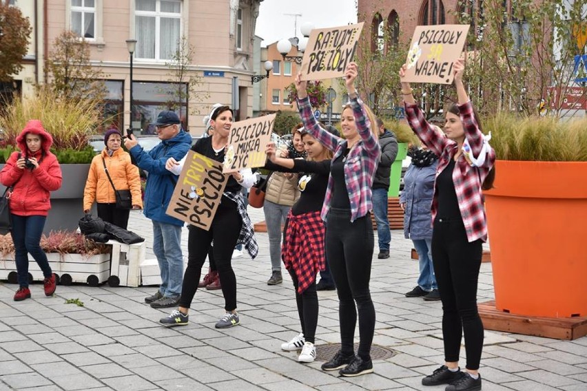 Przedszkolaki z Misia Uszatka ratują pszczoły [FOTO]