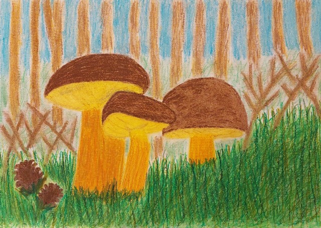 Mali artyści, nagrodzeni w konkursie "Świat grzybów, dyplomy odbiorą 18 listopada w Muzeum Przyrodniczym w Jeleniej Górze