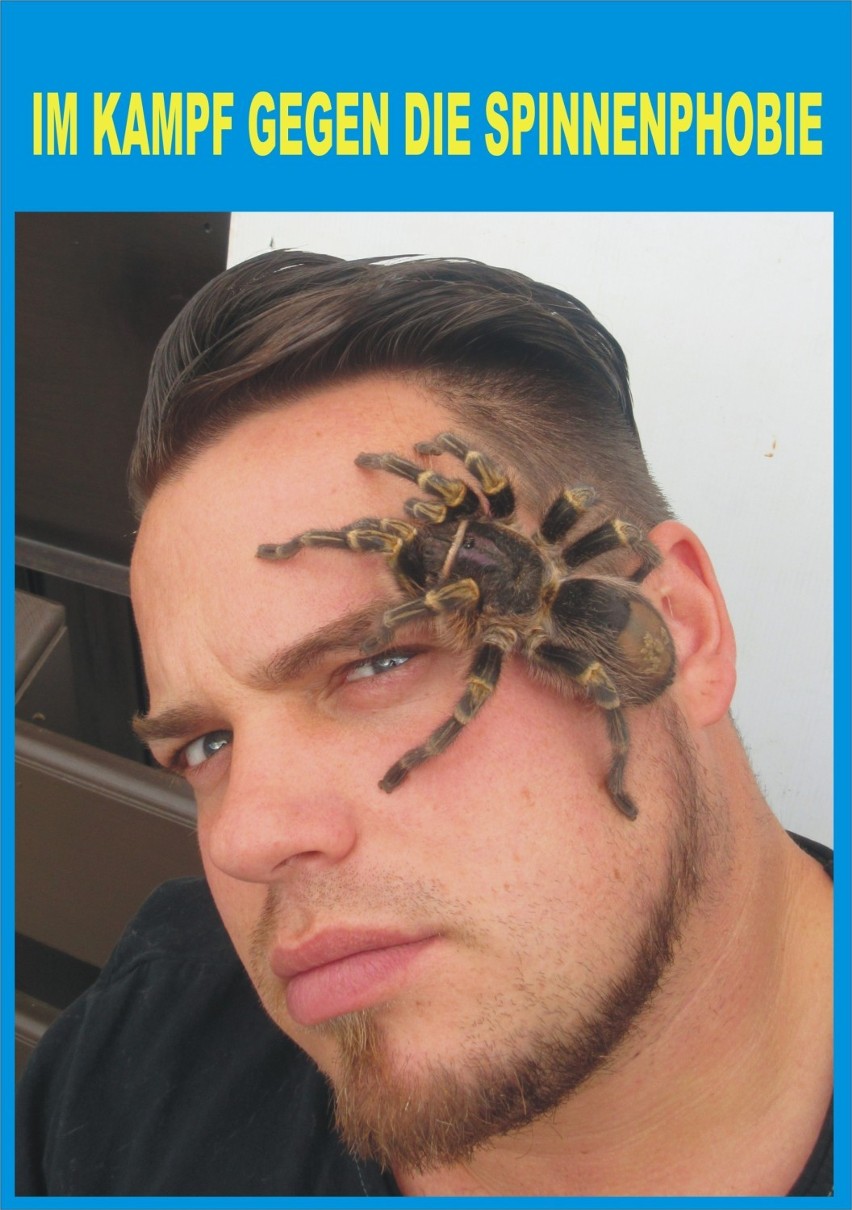 "Fascynujący Świat pająków i skorpionów" w Görlitz 