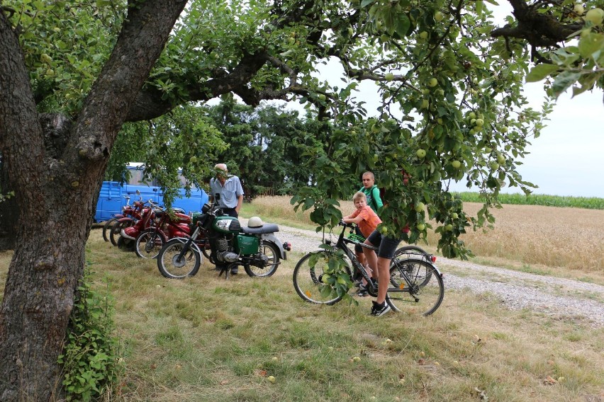 V Zlot samochodów starych i zabytkowych w Ośnie. Tak bawili...