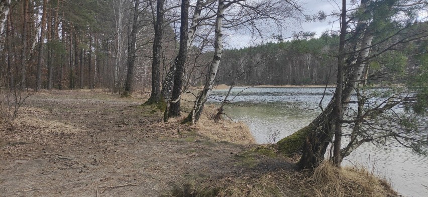 Do popularnej bazy kąpielowej Chojnic - jezioro Okonek - będą ograniczenia. Ludzie sami sobie winni?