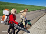 Kolejne akcje sprzątania w powiecie malborskim. Uczniowie ZST robili porządki w Malborku, a mieszkańcy Lisewa Malb. w swojej miejscowości