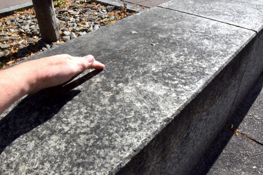Brudne kamienne ławeczki w centrum Kielc. Dlaczego nikt od lat ich nie czyści? Zobacz wideo i zdjęcia 