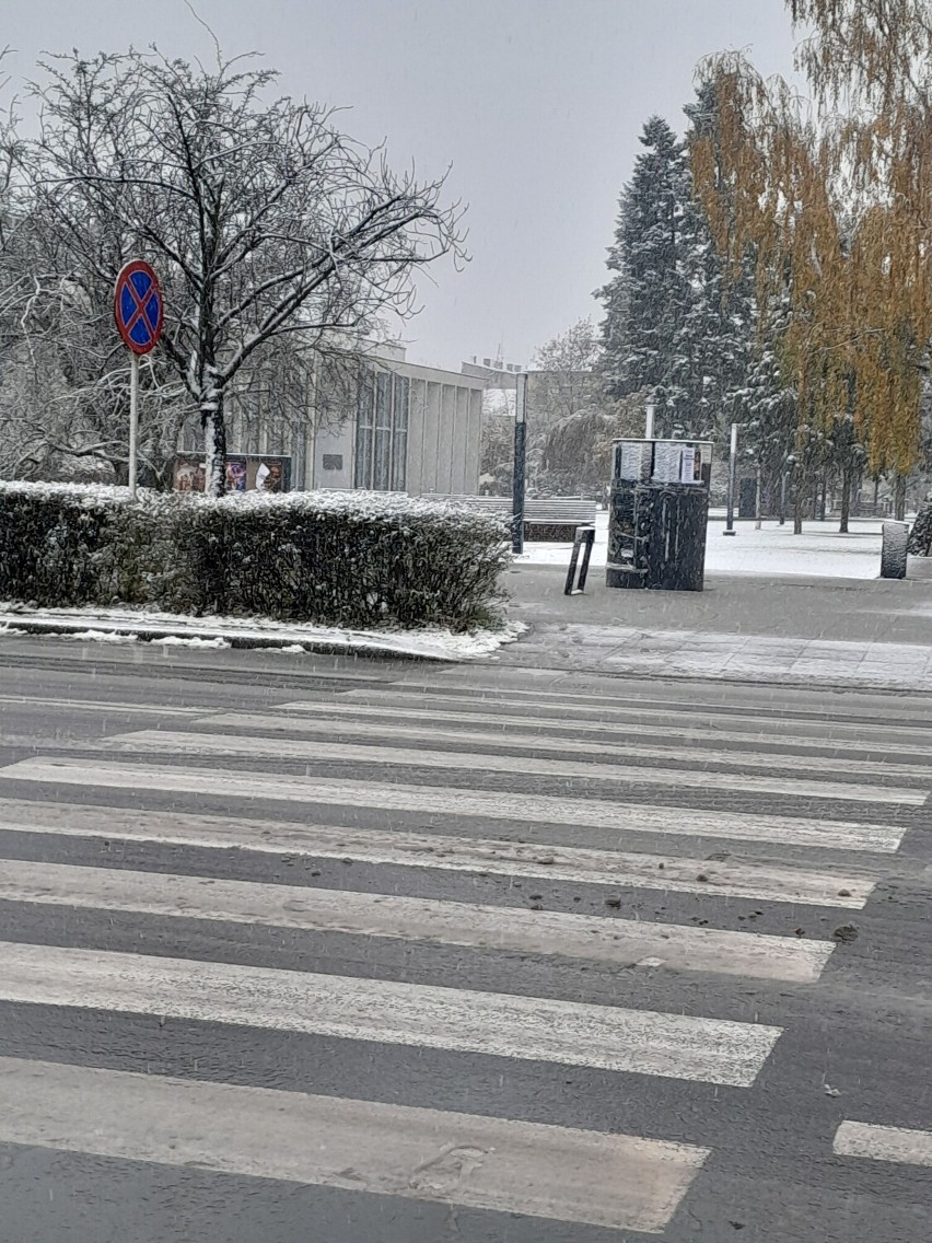 Pierwszy śnieg w Zduńskiej Woli.