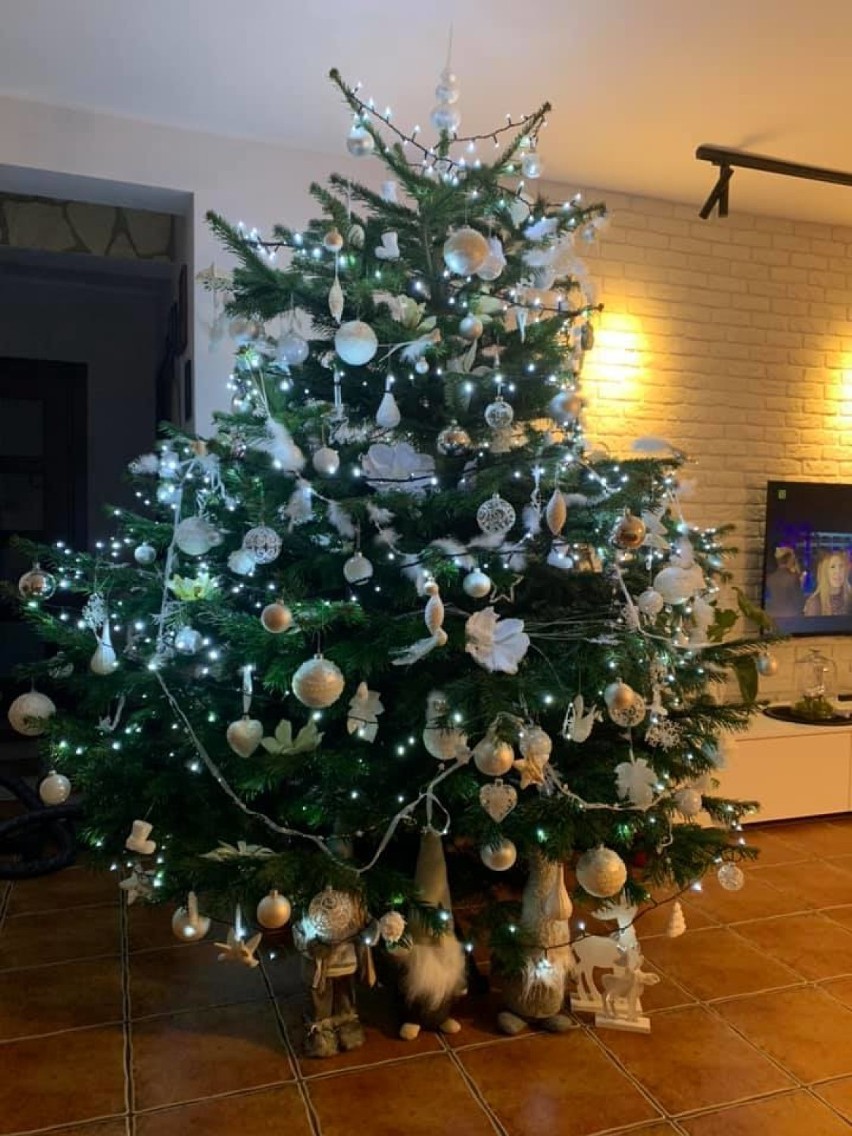 Oleśniczanie pokazali swoje świąteczne drzewka. Zobaczcie piękne choinki! (FOTO)
