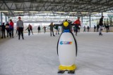 Tarnów. Na lodowiskach w Tarnowie pojawiły się „pingwinki”. Lodowe chodziki do nauki jazdy na łyżwach zakupił TOSiR [ZDJĘCIA]