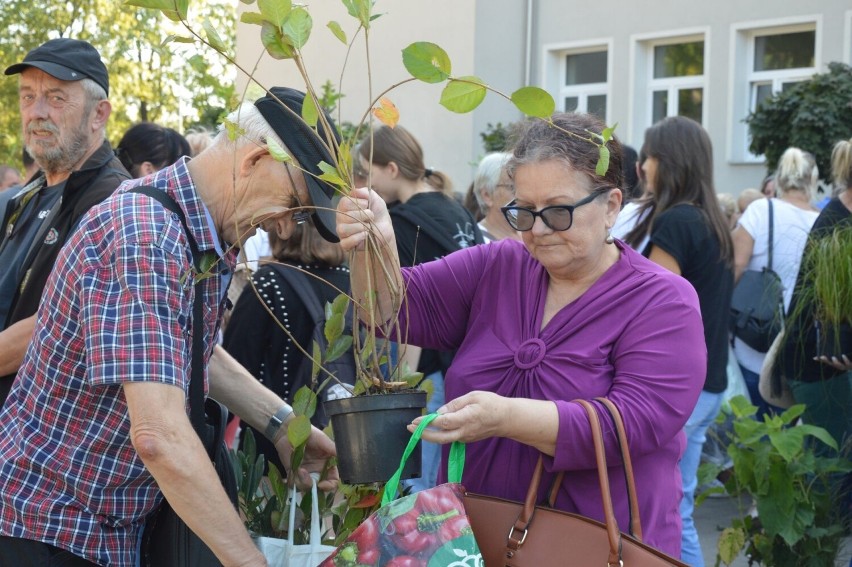 Podczas akcji Drzewko za surowce w Końskich rozdano ponad sześć tysięcy roślin! Przybyły prawdziwe tłumy 