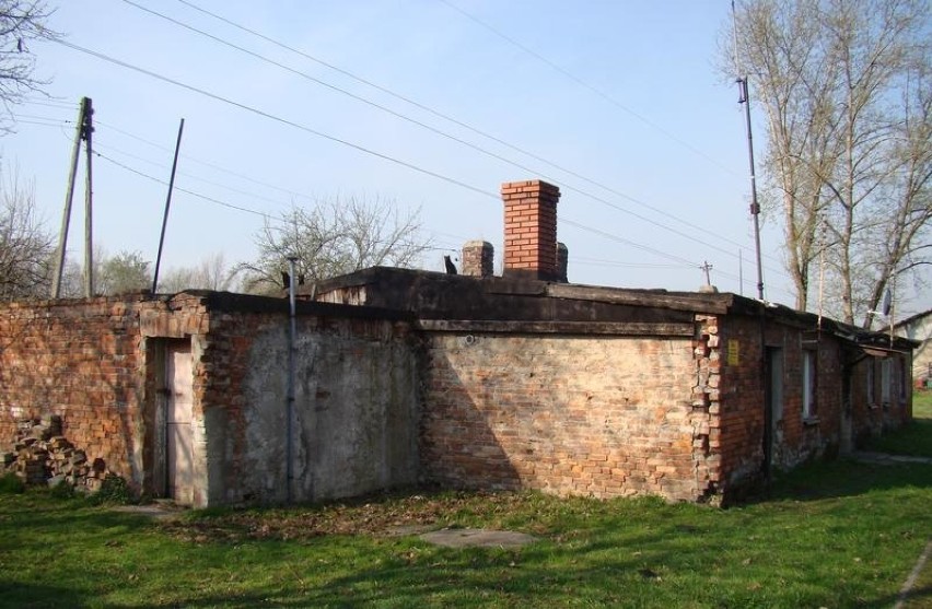 Oświęcim. Nie chce tułać się na starość po domach socjalnych [ZDJĘCIA]