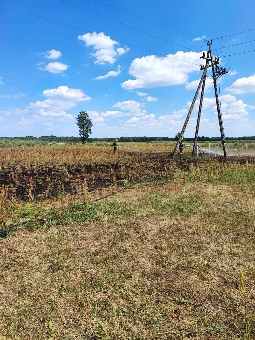 Fala pożarów w powiecie obornickim. Strażacy mają pełne ręce roboty [ZDJĘCIA]