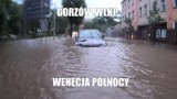 Najlepsze memy o Gorzowie. Janusz Gorzowski, tramwaje, dominanta, ulewy i... Zielona!