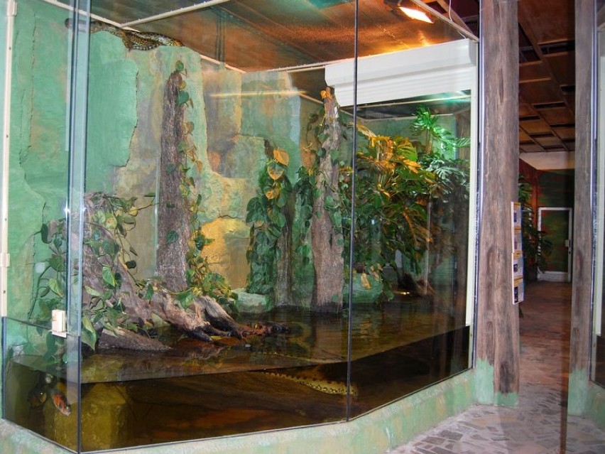 Wybieg anakond we wrocławskim zoo