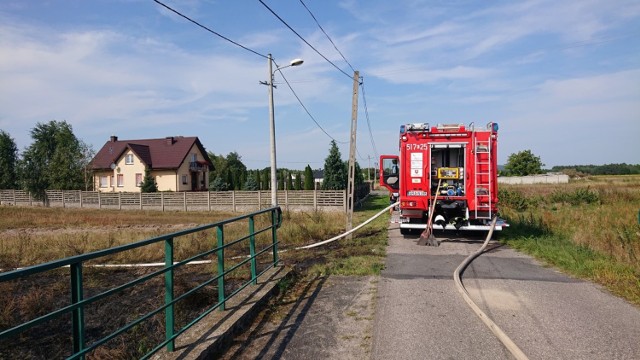 Gmina Dobryszyce: pożar suchej trawy w Stępkach