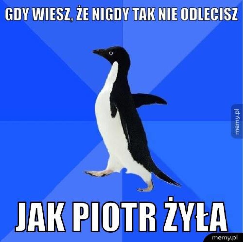 Memy o Piotrze Żyle