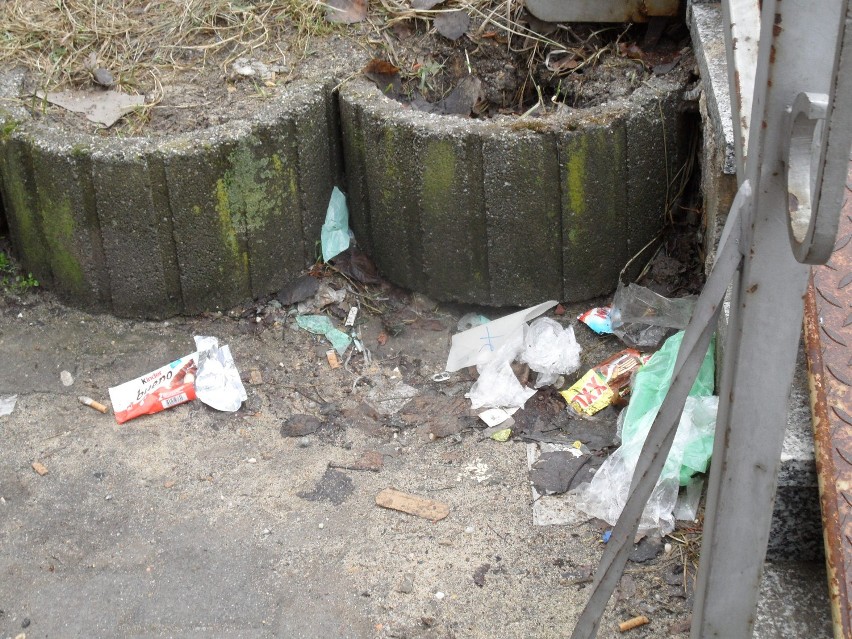 Śmieci Żory: Wielki śmietnik niemal w centrum Żor. To się nie zmienia od dawna FOTO