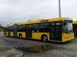 PKM Gliwice kupił nowe autobusy - scanie omnicity. Trasa przez Zabrze, Rudę Śląską i Świętochłowice