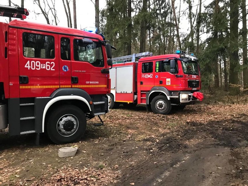 Straż w powiecie chodzieskim została zaalarmowana o pożarze lasu. Okazało się, że to niezapowiedziana inspekcja