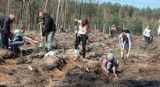 Grudziądz. Ty też możesz posadzić kawałek lasu. Już w najbliższą sobotę 