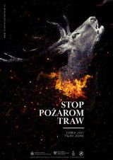 Nadleśnictwo Kalisz ogłasza konkurs "Wiosna bez płomieni"