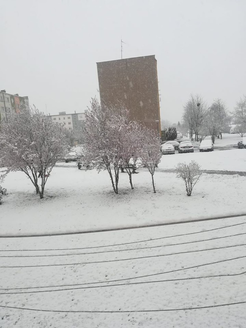 Śnieg we Wrocławiu. Oto zdjęcia Czytelników Naszego Miasta Wrocław (ZOBACZCIE)