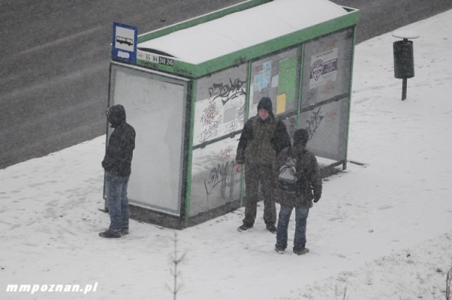 śnieg w Poznaniu, śnieg, pada śnieg, opady śniegu