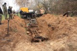 Gdynia: Odkopano ciężarówkę Wehrmachtu. Steyr 1500 zostanie odrestaurowany? [ZDJĘCIA]