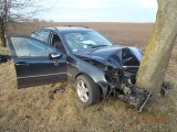Wypadek w Lubońku. Mercedes uderzył w drzewo [ZDJĘCIA]