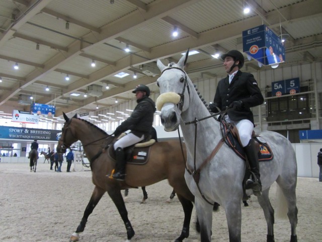 Zobacz program Cavaliady 2014 w Poznaniu