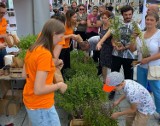 Wadowice miodem płynące. Na rynku rozdawali mieszkańcom miododajne rośliny [ZDJĘCIA, WIDEO] AKTUALIZACJA