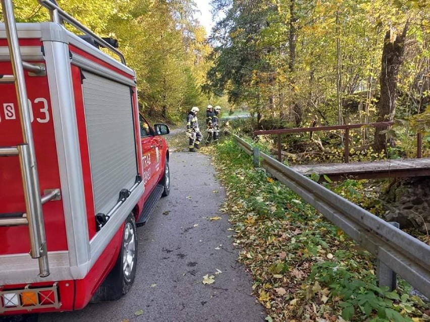 Silny wiatr w woj. śląskim. Zniszczone dachy, powalone drzewa, jedna osoba ranna... Prawie 130 interwencji straży