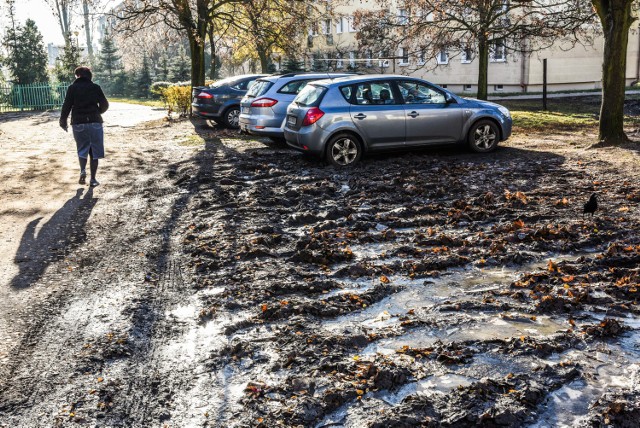 Skwer i chodnik na Błoniu w Bydgoszczy zostały zniszczone przez samochody.