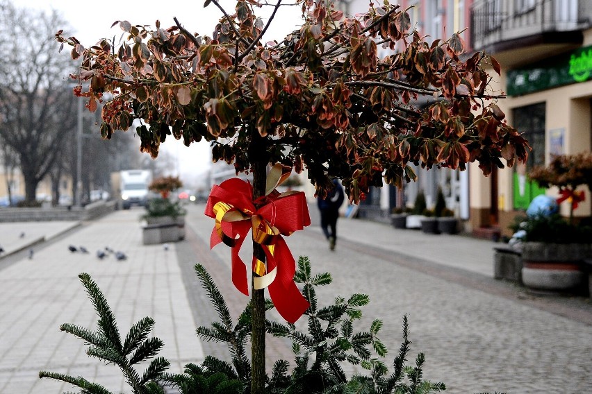 Szopka przed starostwem i ozdoby świąteczne na ulicach przypominają w Jaśle, że Boże Narodzenie tuż-tuż [ZDJĘCIA]