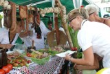 Piknik stowarzyszeń w Bełchatowie dziś na Placu Narutowicza