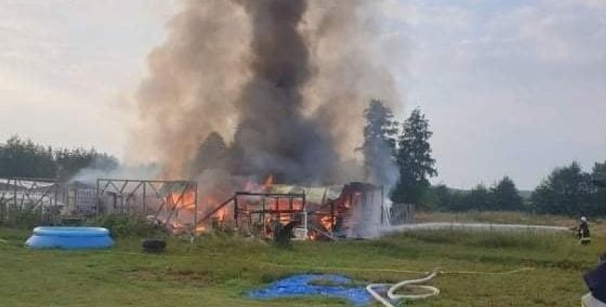 Gaszenie pożaru w okolicach Dąbia, który wybuchł w...