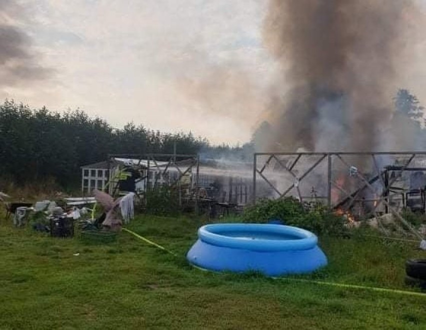 Gaszenie pożaru w okolicach Dąbia, który wybuchł w...