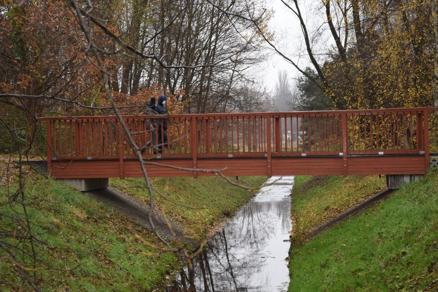 Dolina Gęśnika późną jesienią. Nawet o tej porze roku...